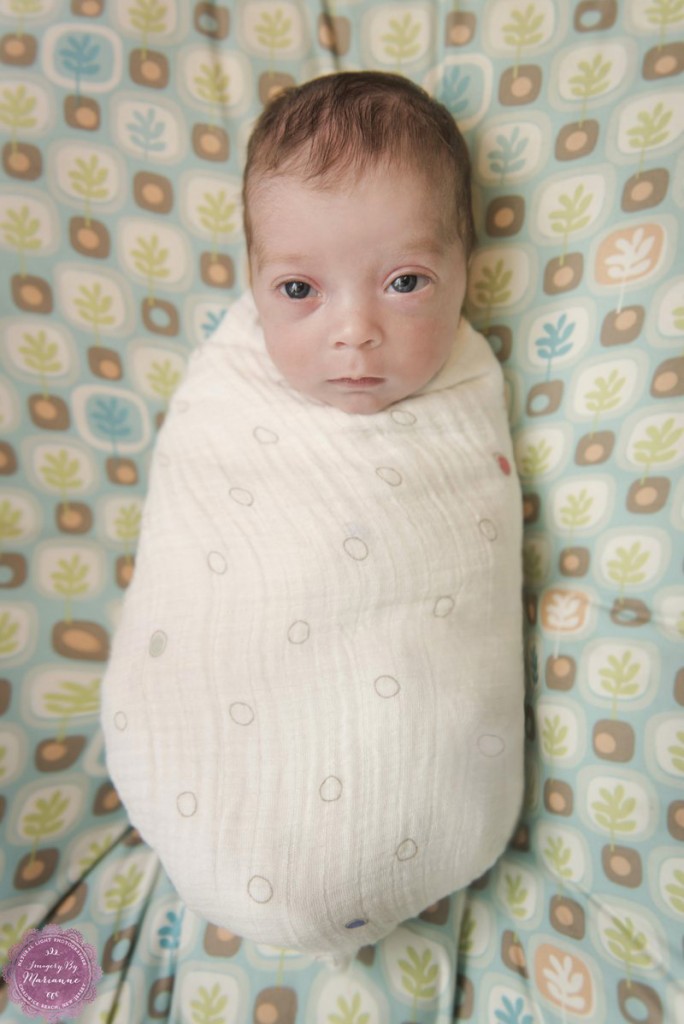 Preemie Baby Girl Lifestyle Newborn Session