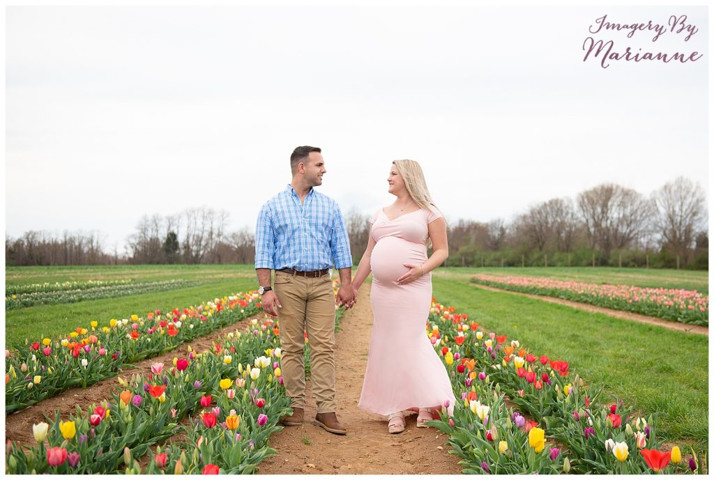 spring-tulip-farm-maternity-session-central-new-jersey-pregnancy-photographer-imagery-by-marianne_0000